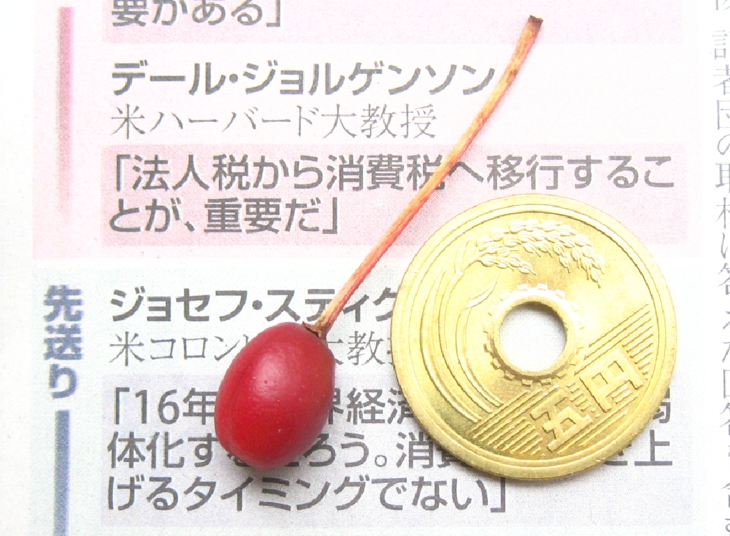 sakuranbo